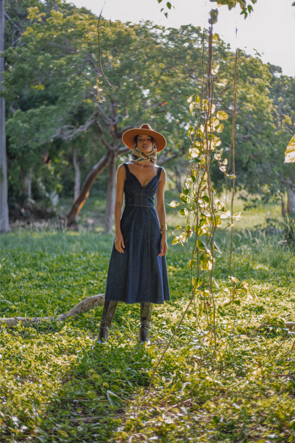 Celia Denim Dress